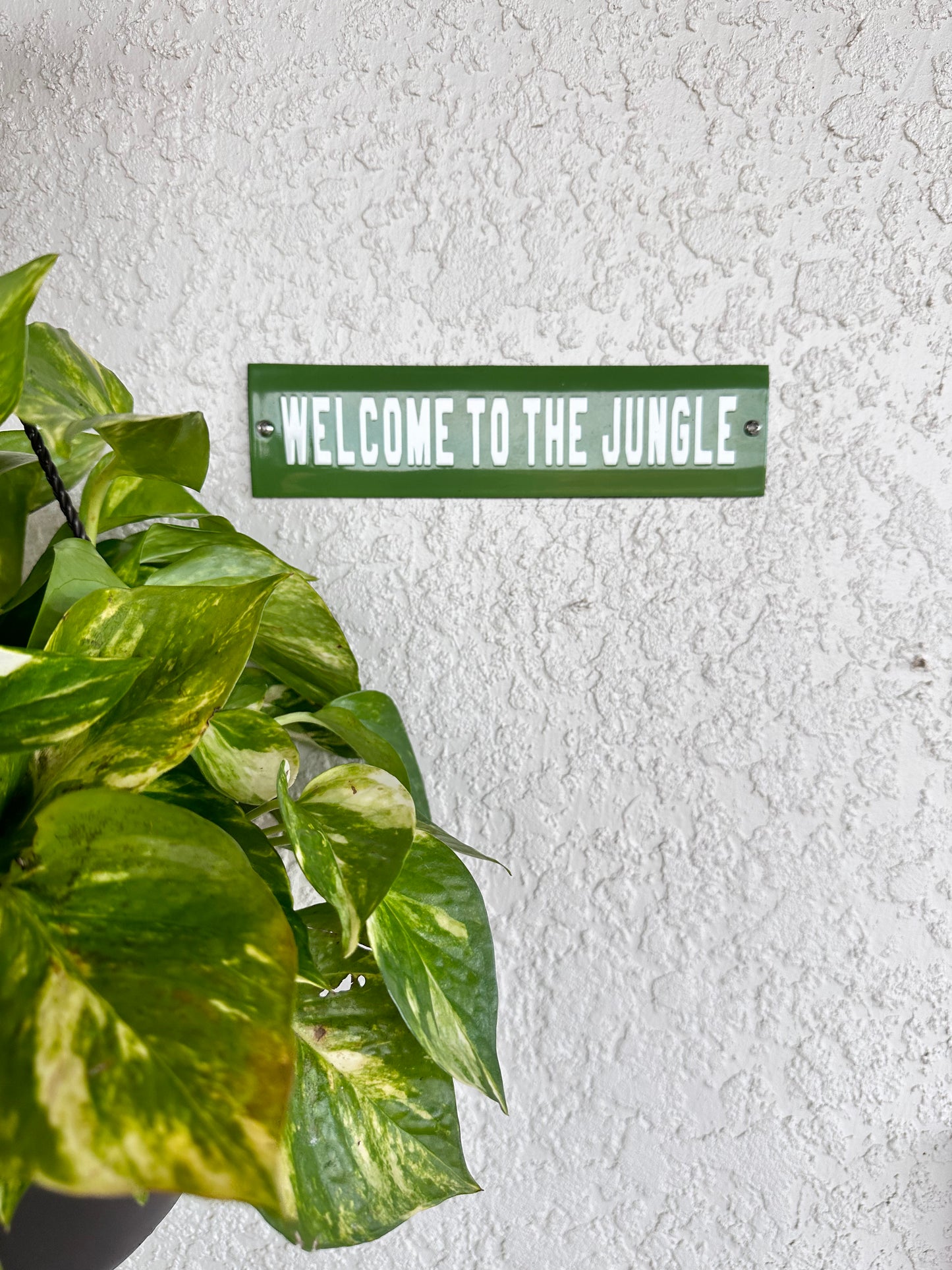 Welcome to the Jungle